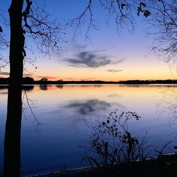 Meet your Posher, Cello - Picture 2 of 3